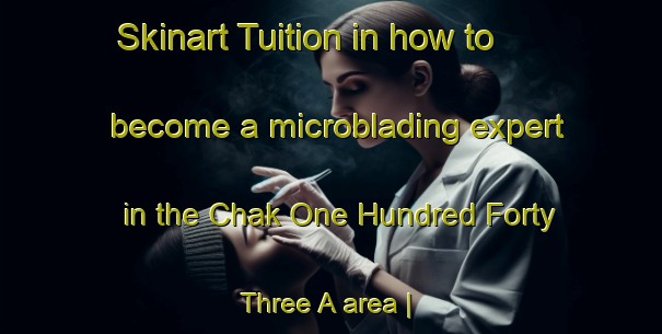 Skinart Tuition in how to become a microblading expert in the Chak One Hundred Forty Three A area | MicrobladingTraining | MicrobladingClasses | SkinartTraining-Pakistan